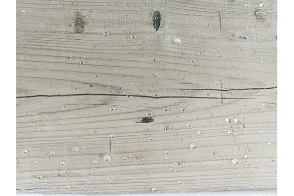 In which application scenarios is building waterproofing agent most effective?